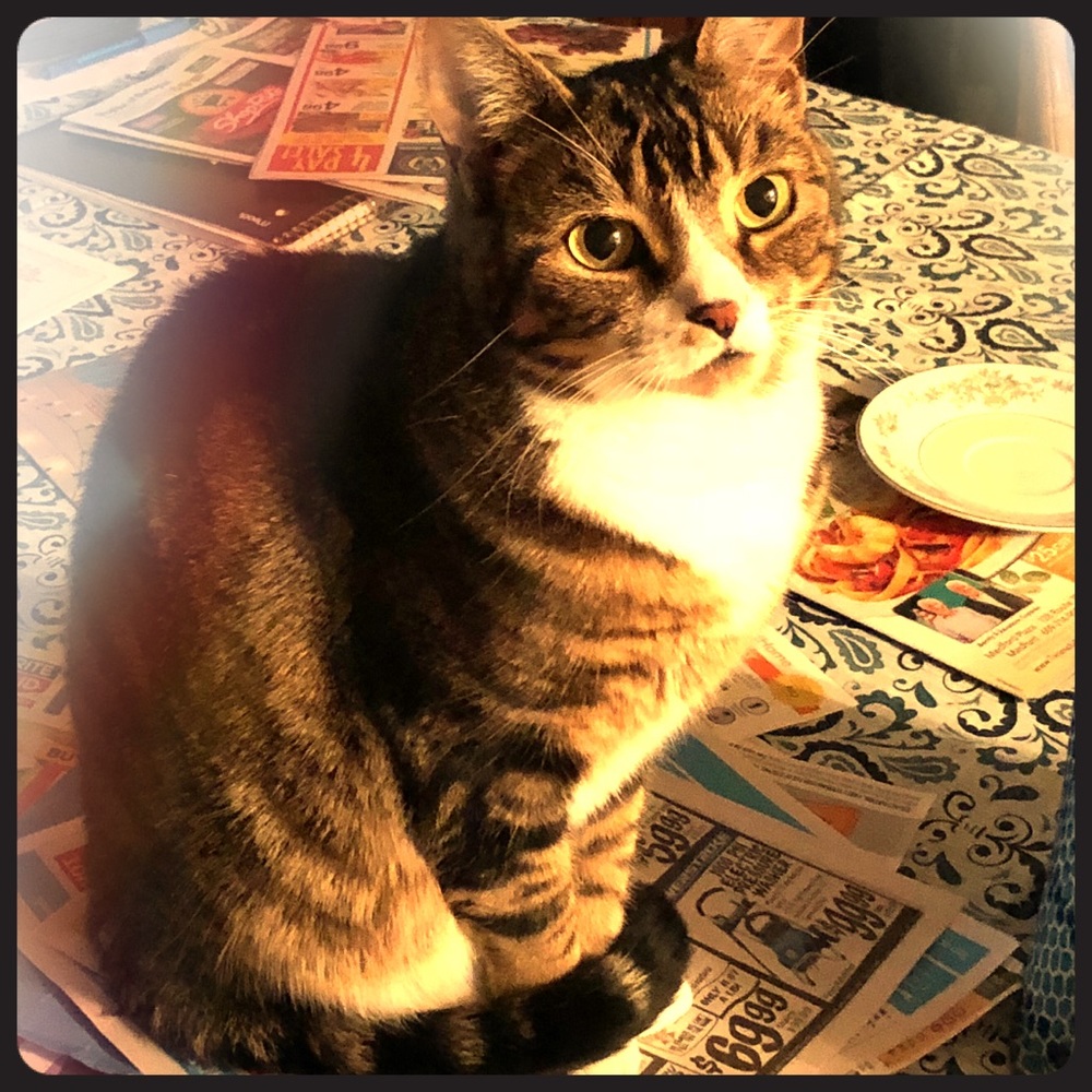 Happy Poshing ❤️😁😎💗